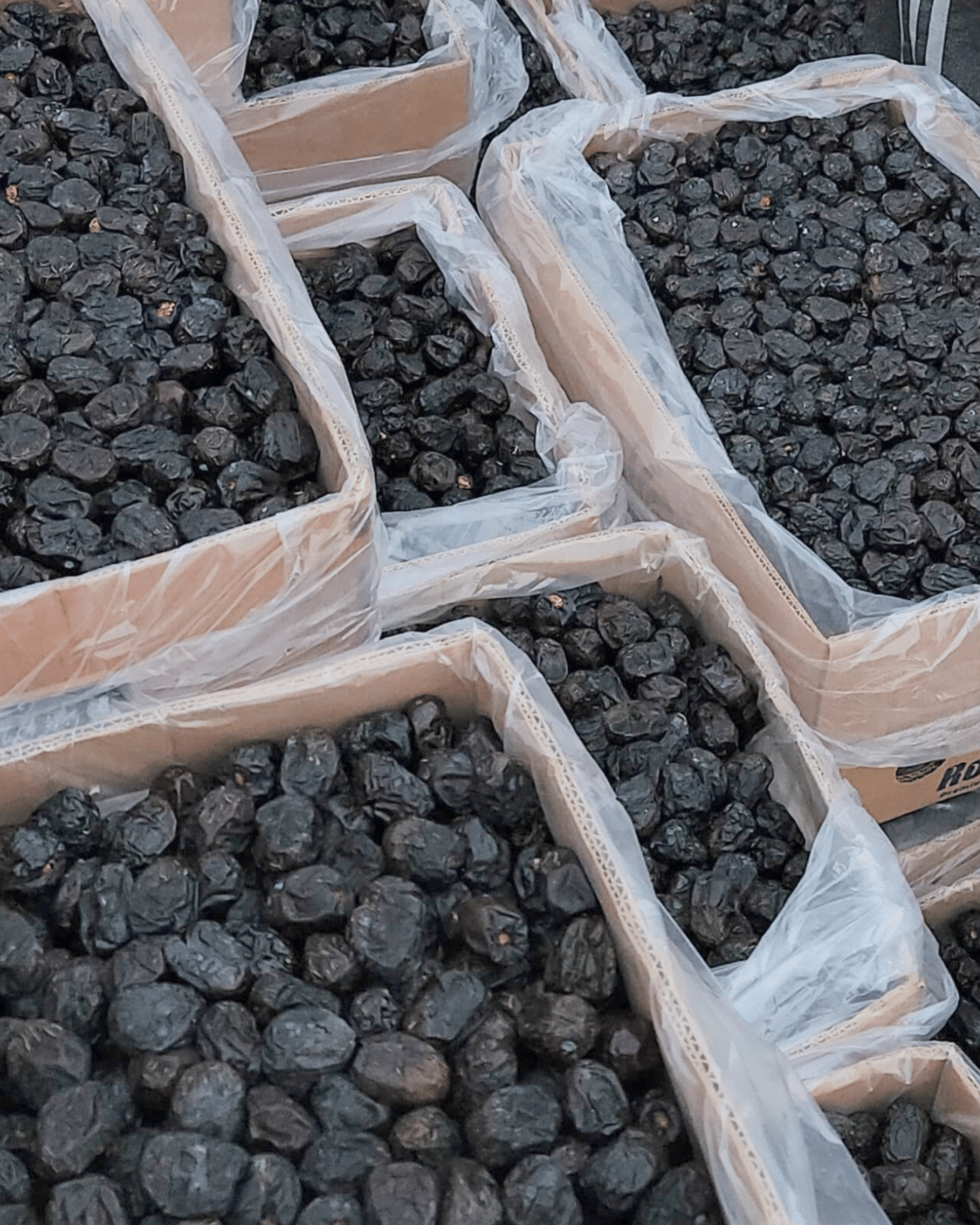 Ajwa Madinah Jumbo Khajoor – Premium A++ Quality