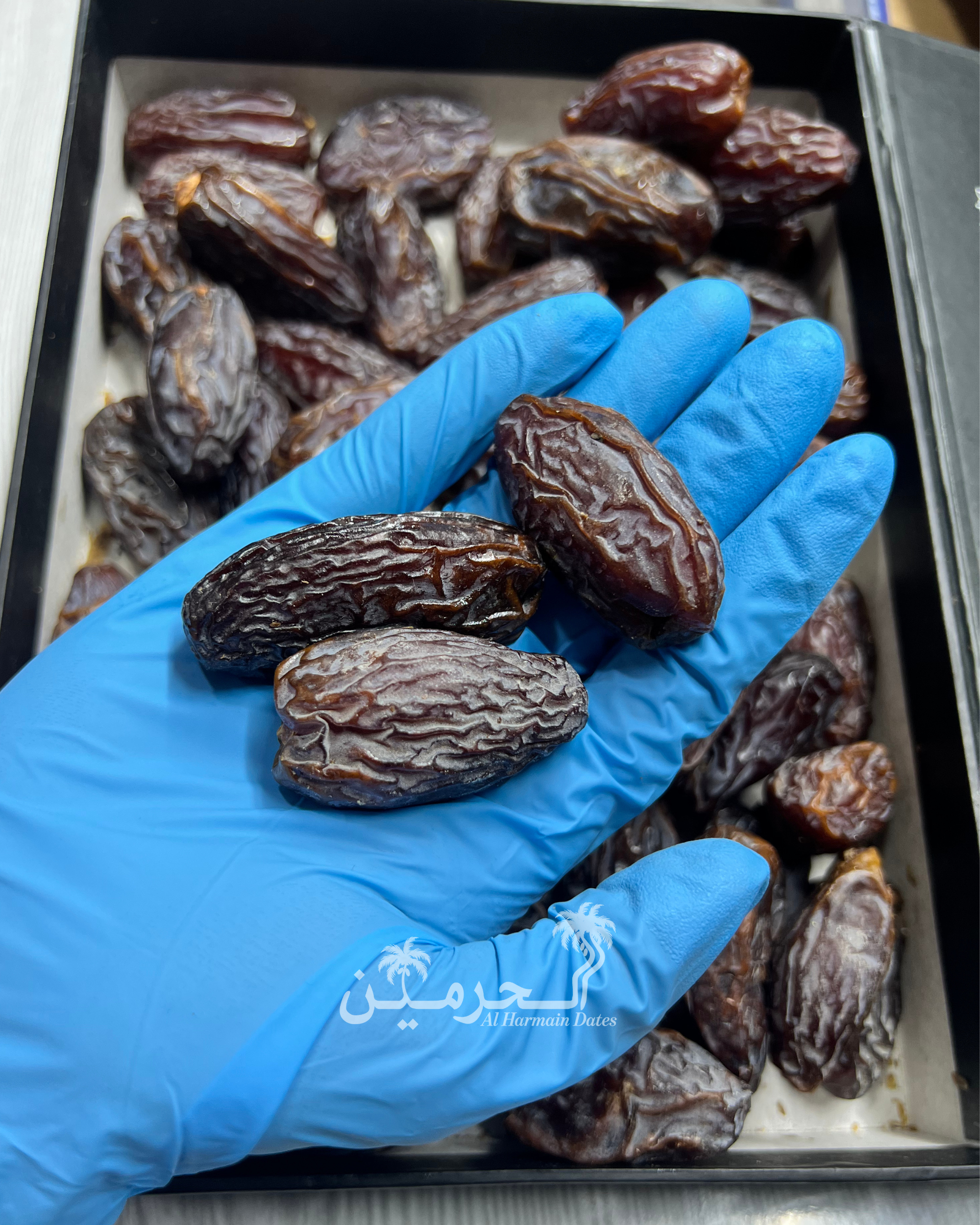 Mejdool Khajoor King of Sweetness - Jordan