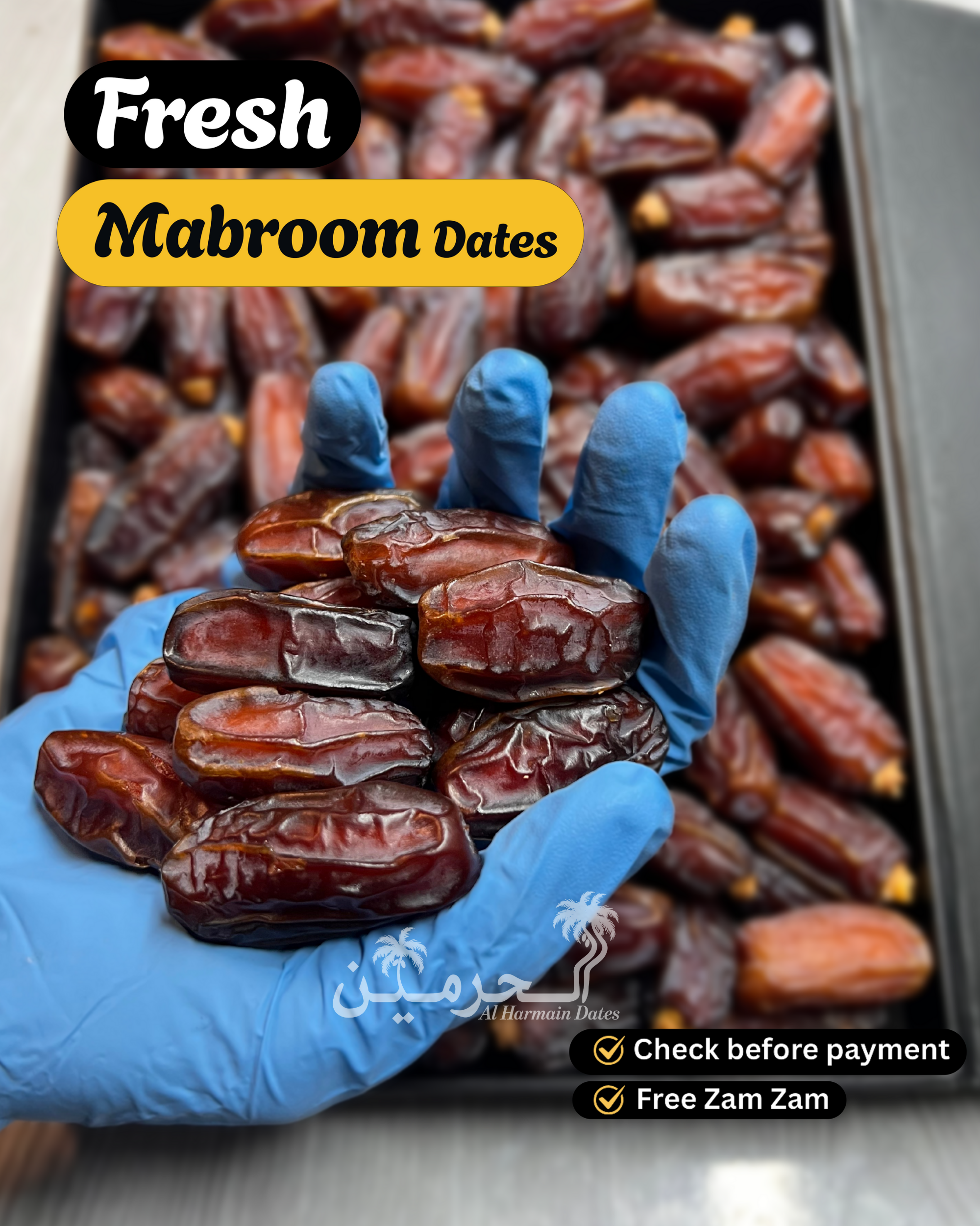 Mabroom Premium Khajoor - Royal Arabian Treat