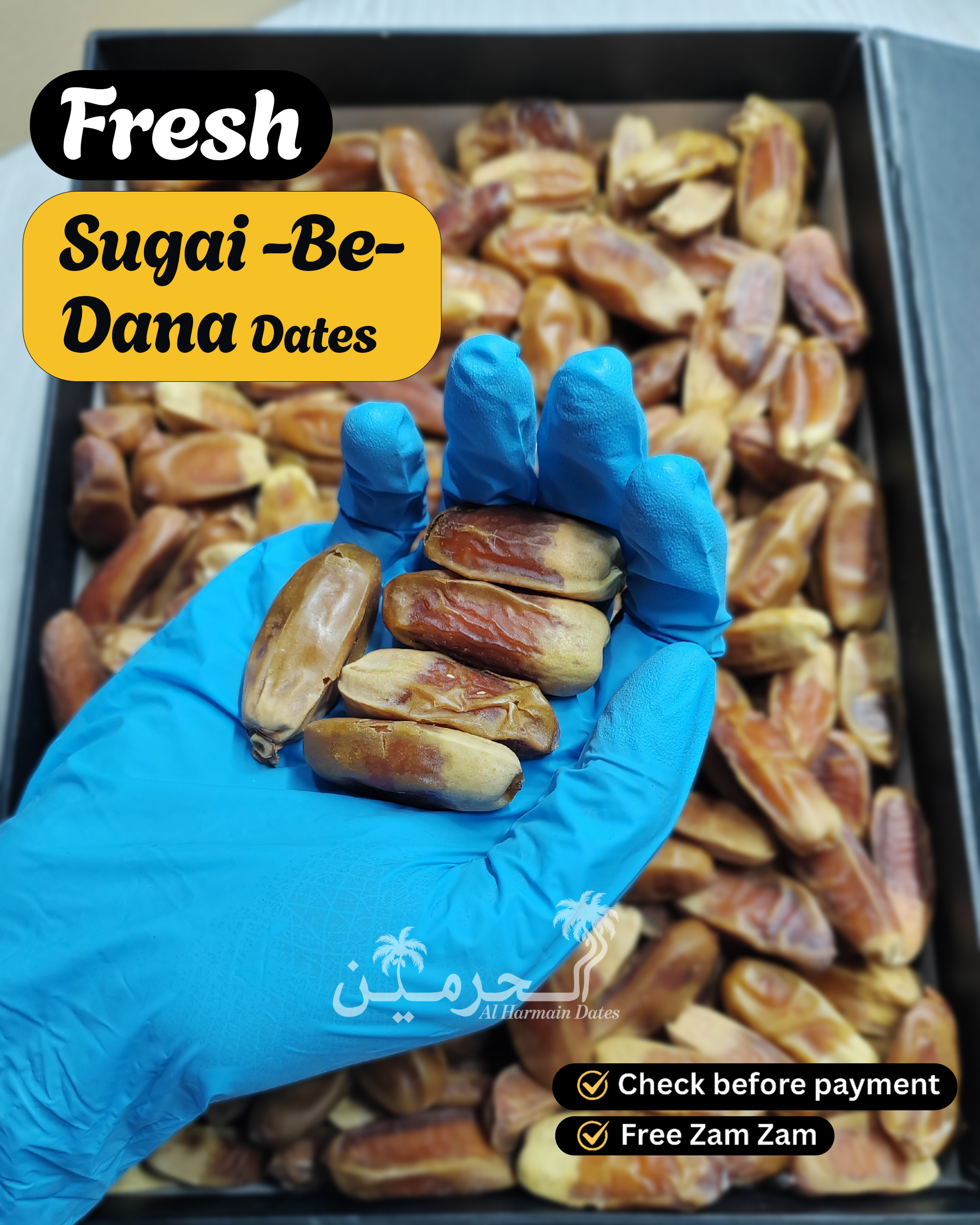 Sugai Naturally Seedless Dates (Be-Dana Khajoor)