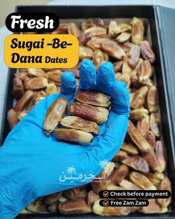 Sugai Naturally Seedless Dates (Be-Dana Khajoor)
