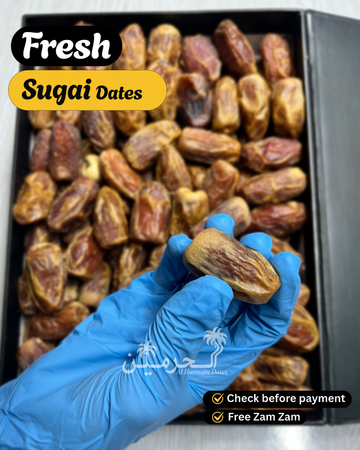 Sugai Special Jumbo Khajoor