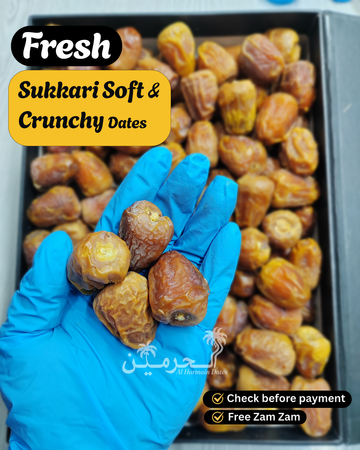 Medium Dana - Sukkari Gold