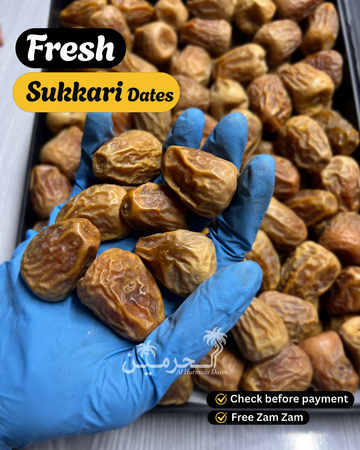 JUMBO Dana Sukkari Gold Khajoor - Nature’s Crunch