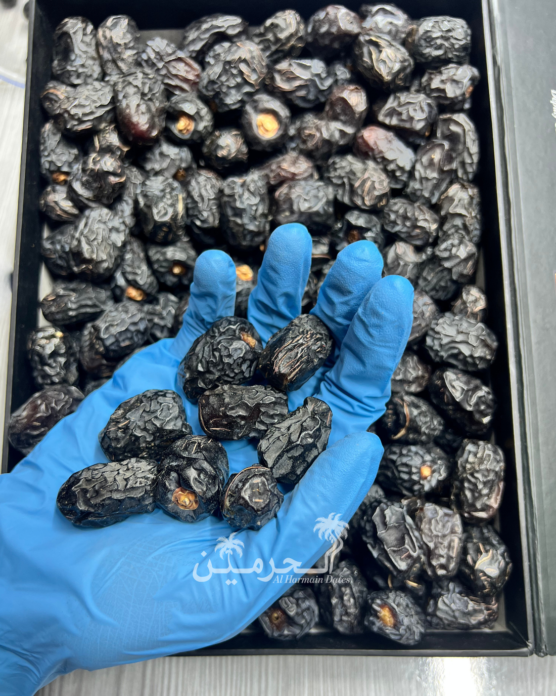 Original Ajwa Medium Khajoor - Madina Delight