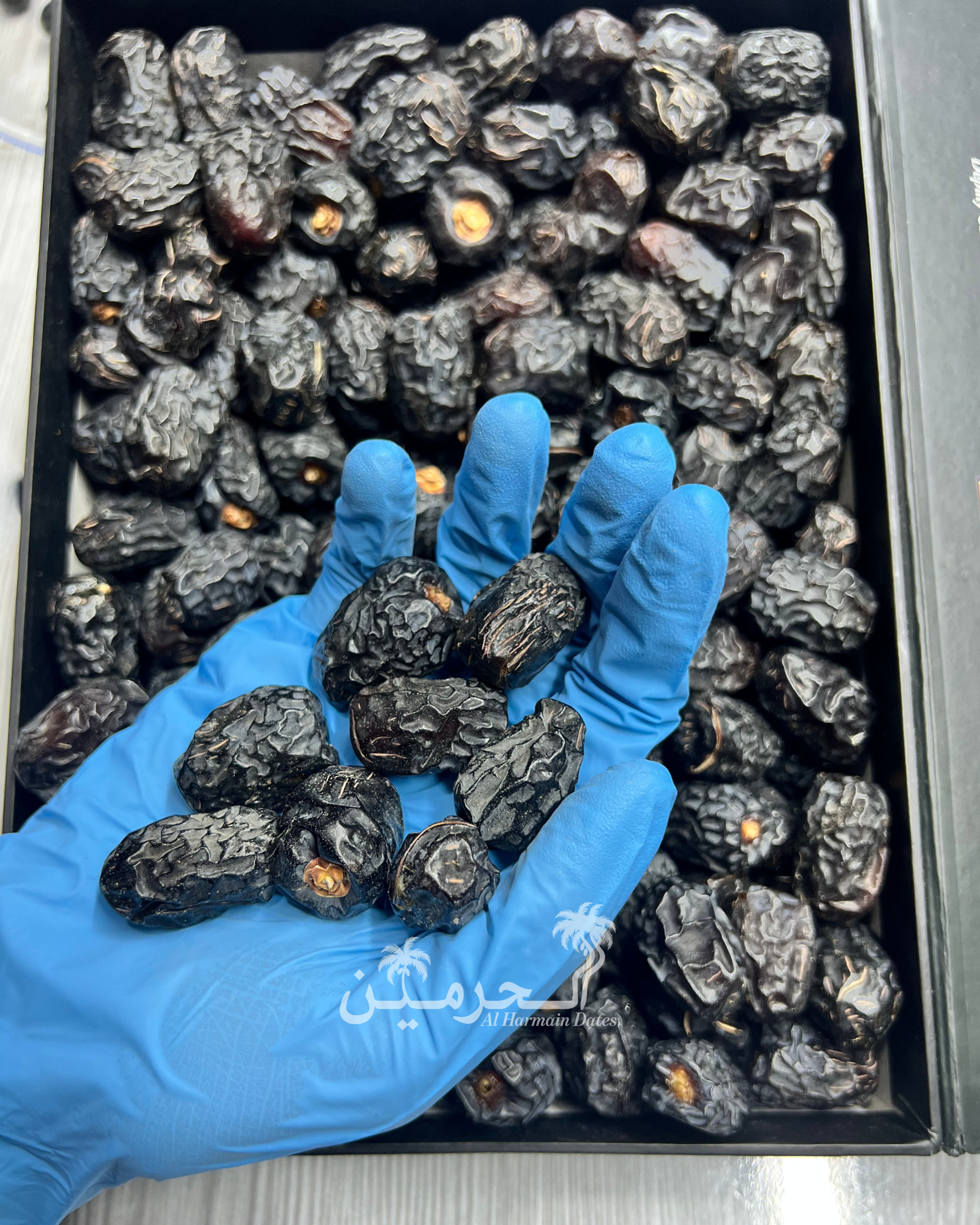 Original Ajwa Medium Khajoor - Madina Delight