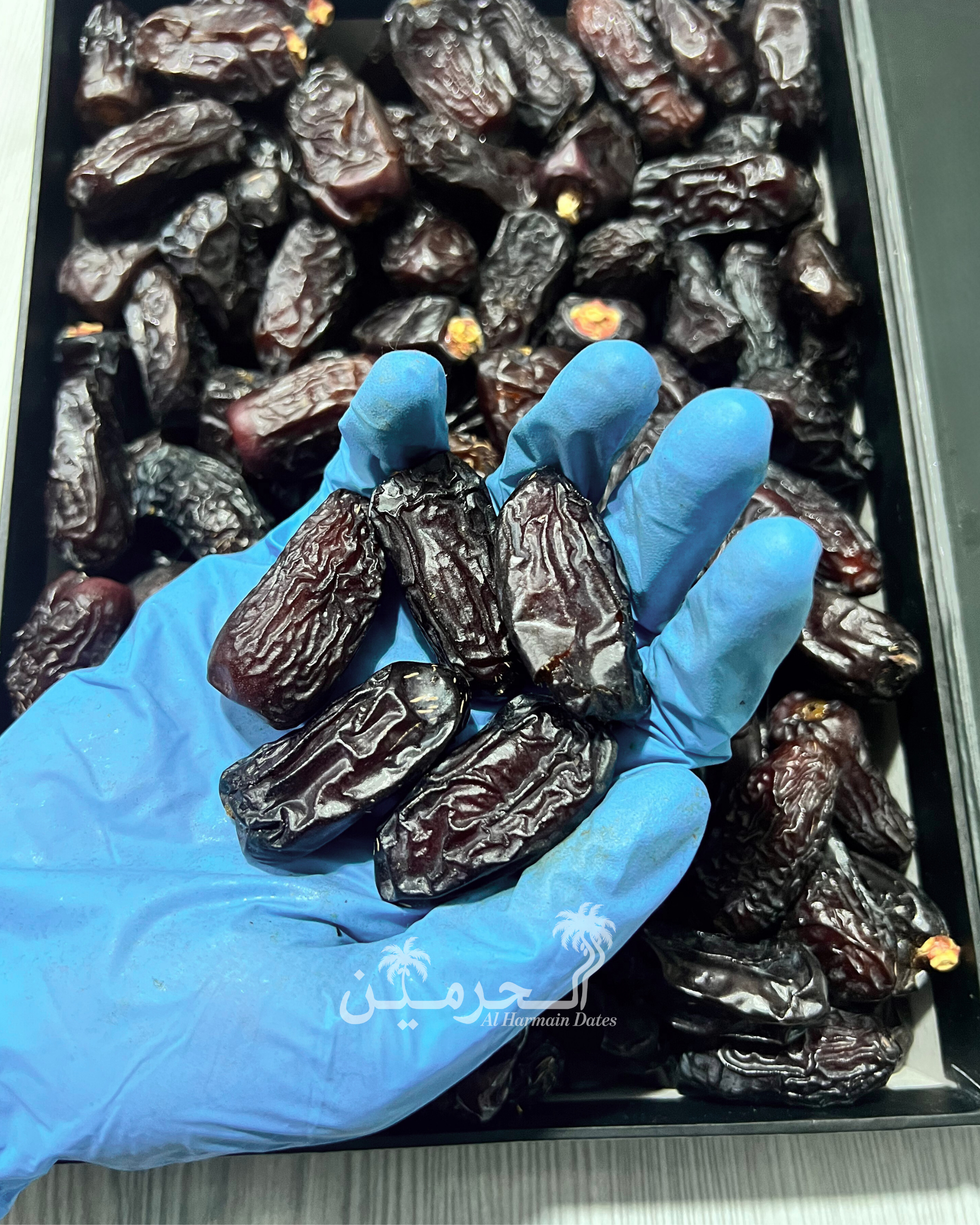 Kalmi Special Jumbo Dates – Dark & Rich Safawi
