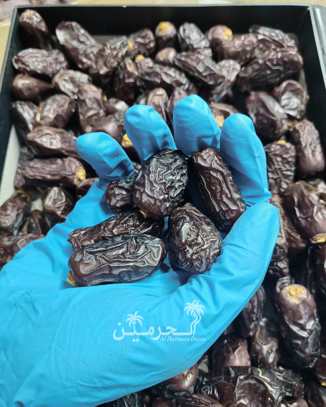 Kalmi Medium Safawi Khajoor