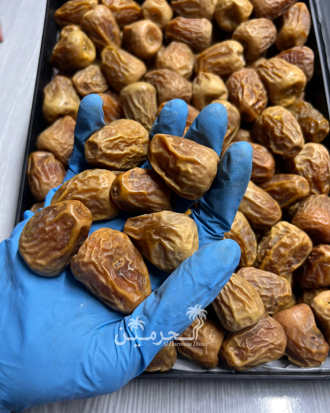 JUMBO Dana Sukkari Gold Khajoor - Nature’s Crunch