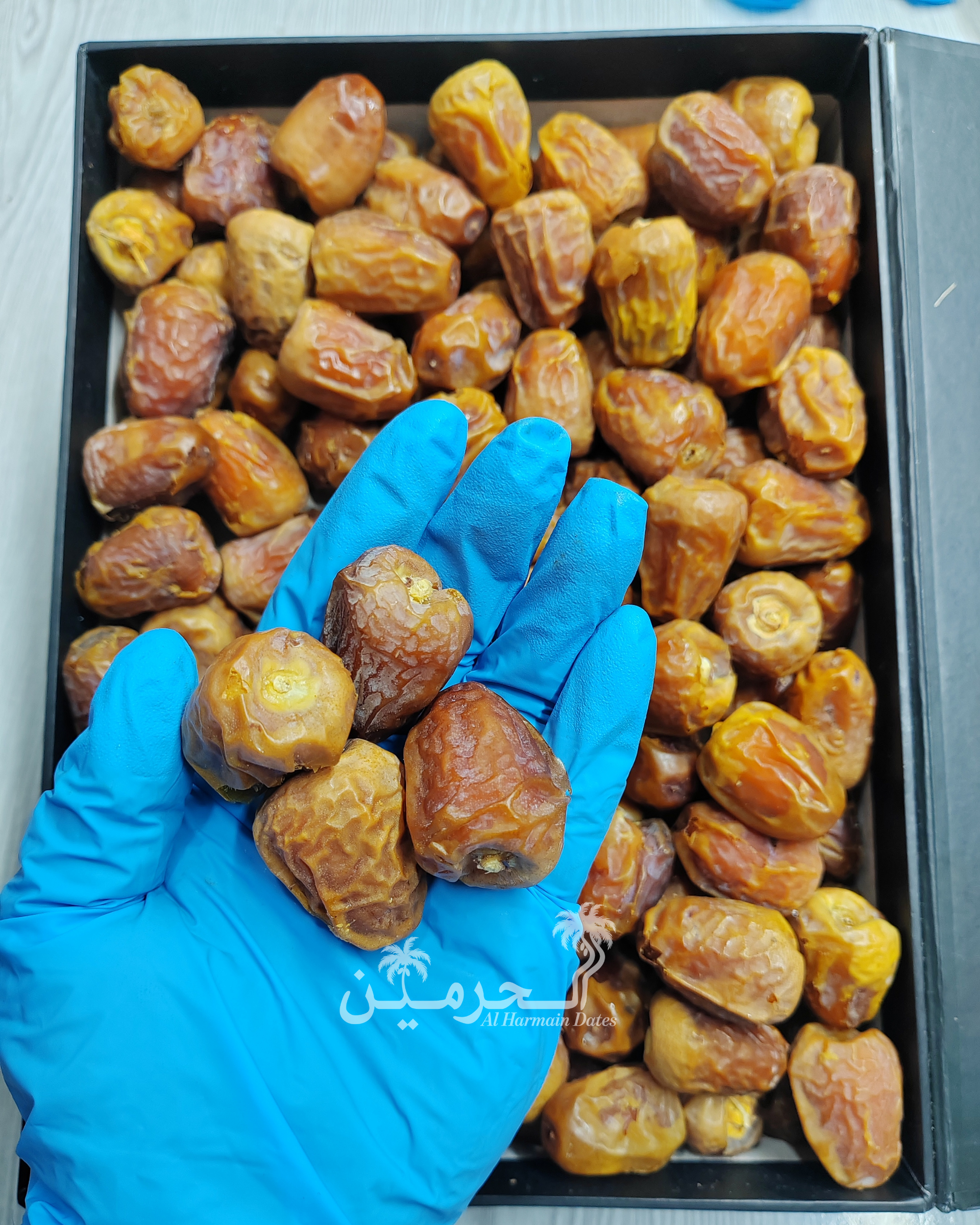 Medium Dana - Sukkari Gold